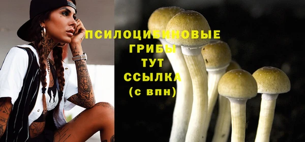 стафф Новозыбков
