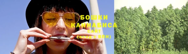 стафф Новозыбков