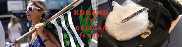 стафф Новозыбков