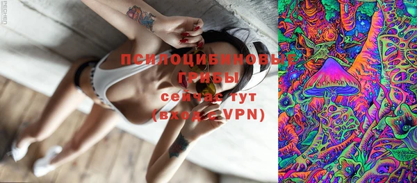 эйфоретик Новодвинск