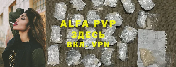 мдпв Галич
