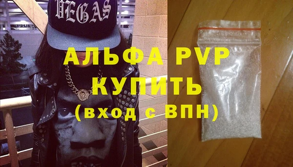 мдпв Галич
