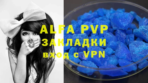 стафф Новозыбков