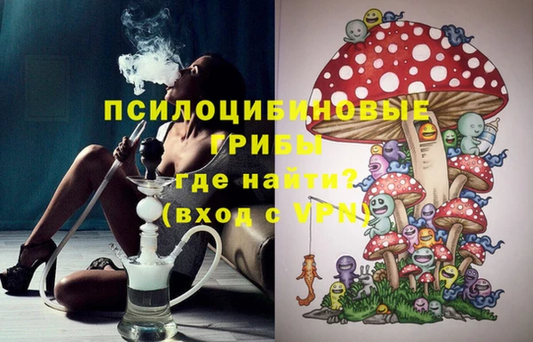 стафф Новозыбков