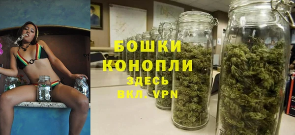 стафф Новозыбков