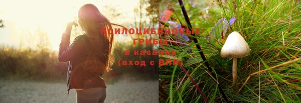 стафф Новозыбков