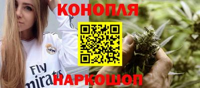 крисы Донской