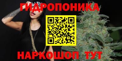 apvp Дубна