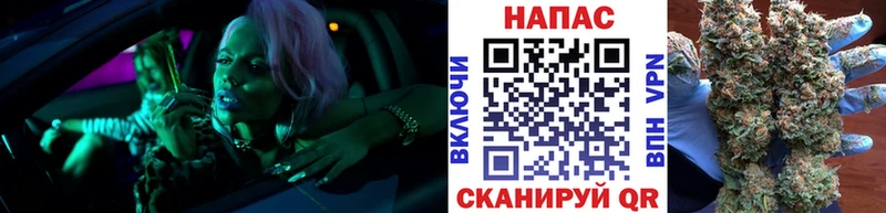 как найти наркотики  нарко площадка официальный сайт  Конопля сатива  Соликамск 